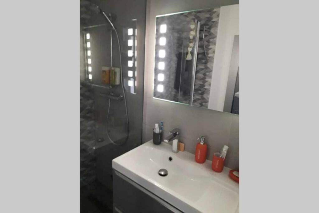 Апартаменты Chaleureux Appart 2 Pieces Entierement Renove. Сен-Лоран-дю-Вар Экстерьер фото